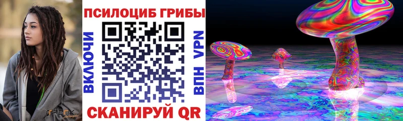 Псилоцибиновые грибы Psilocybe  Озёры 